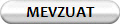 MEVZUAT